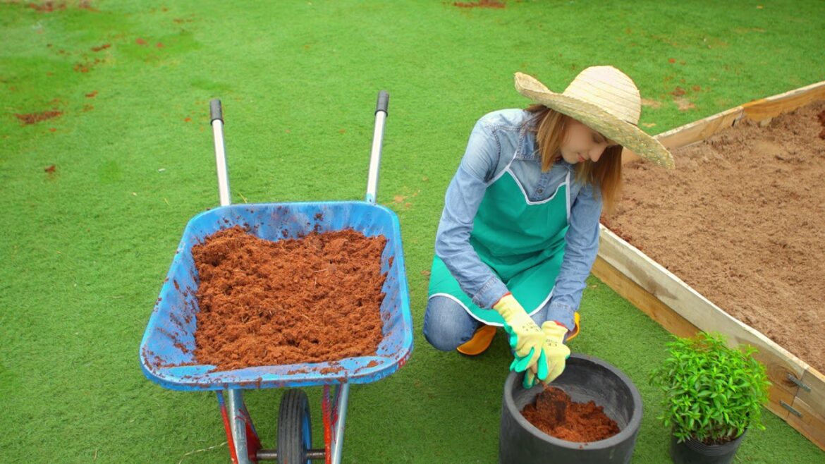 Expert Gardener Organics Expanding Soil at Walmart