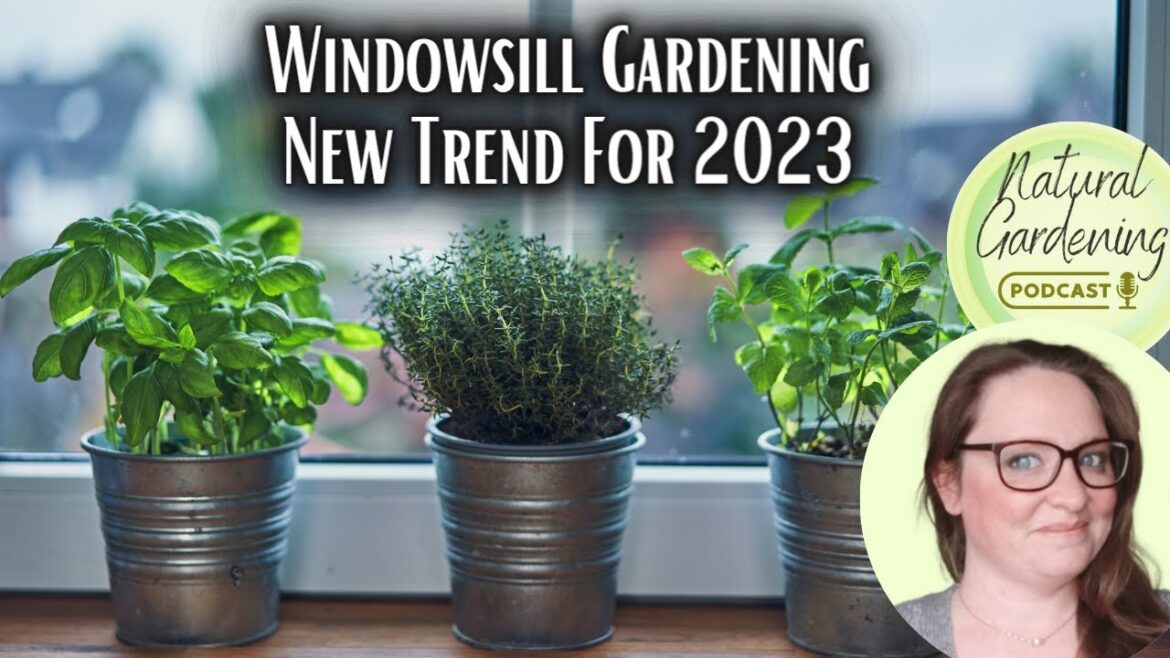 Growing a veg patch on your windowsill - New trend for 2023!