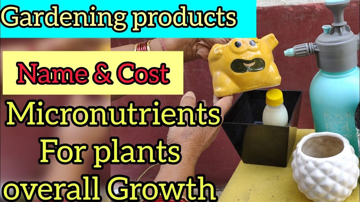 Gardening products fertilizer,micronutrients,Planter for plant