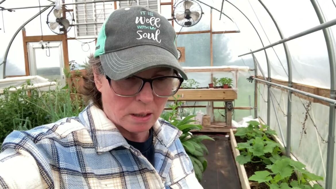 This doesn’t look good! Keep an eye on your tomatoes!