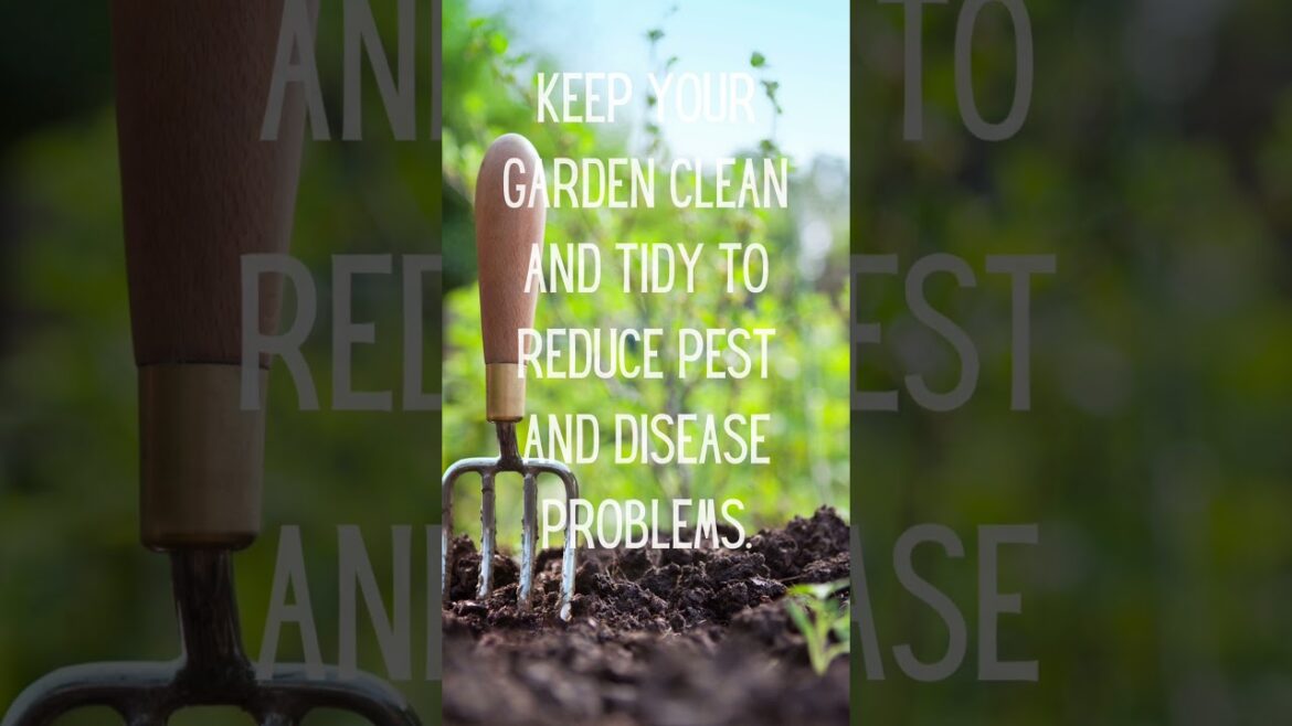 My Top 30 Gardening Tips in 30 Days  🌿  #march31challenge #garden #tips