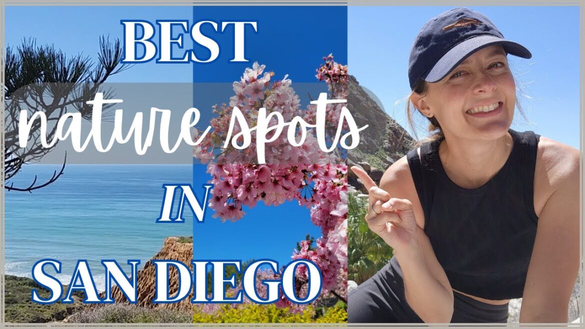 TOP THINGS TO DO in San Diego for NATURE LOVERS // best SPRING places // wildflower superblooms