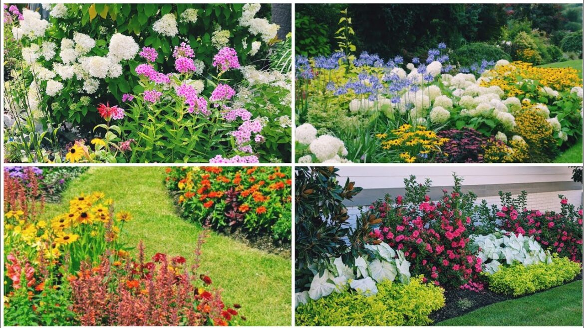 How To Create a Beautiful Garden with just Perennial Flowers That Will Bloom Yealy