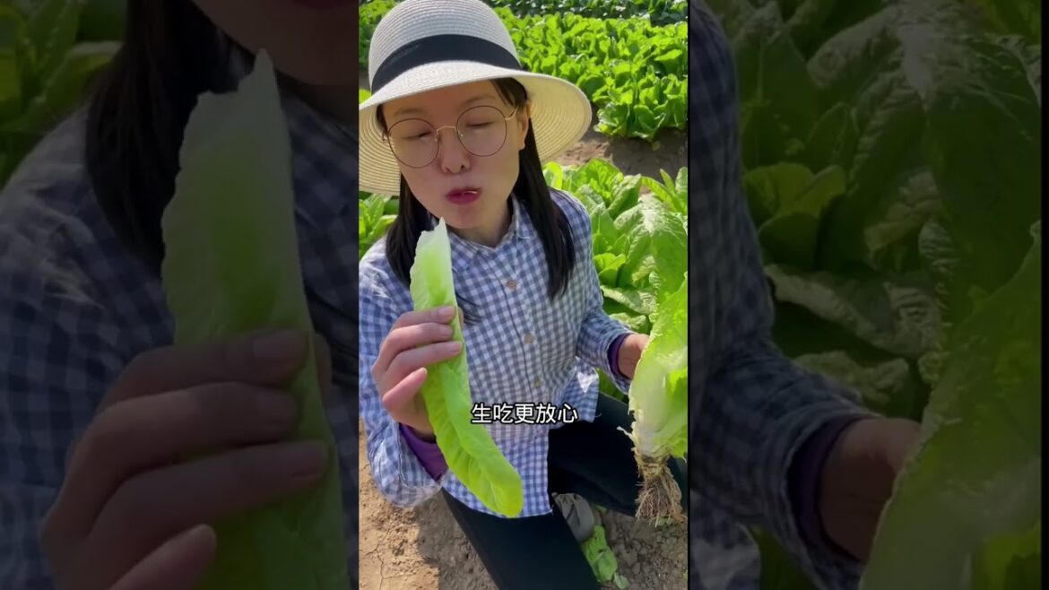 gardening ideas for home/enjoy with my garden