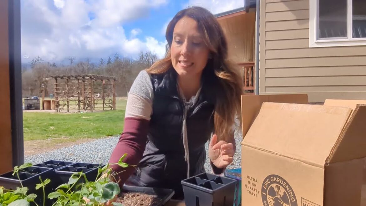 The Reality of Homesteading: My Morning Chores Routine Revealed