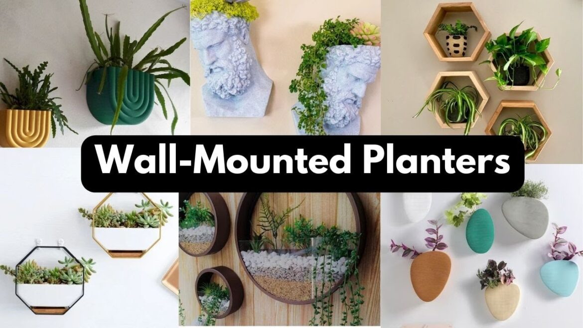 Outdoor Wall Planter/Indoor Plant Stand /Wall Mounted Plant Pots /Land Of Ideas Outdoor Wall Planter/Indoor Plant Stand /Wall Mounted Plant Pots /Land Of Ideas