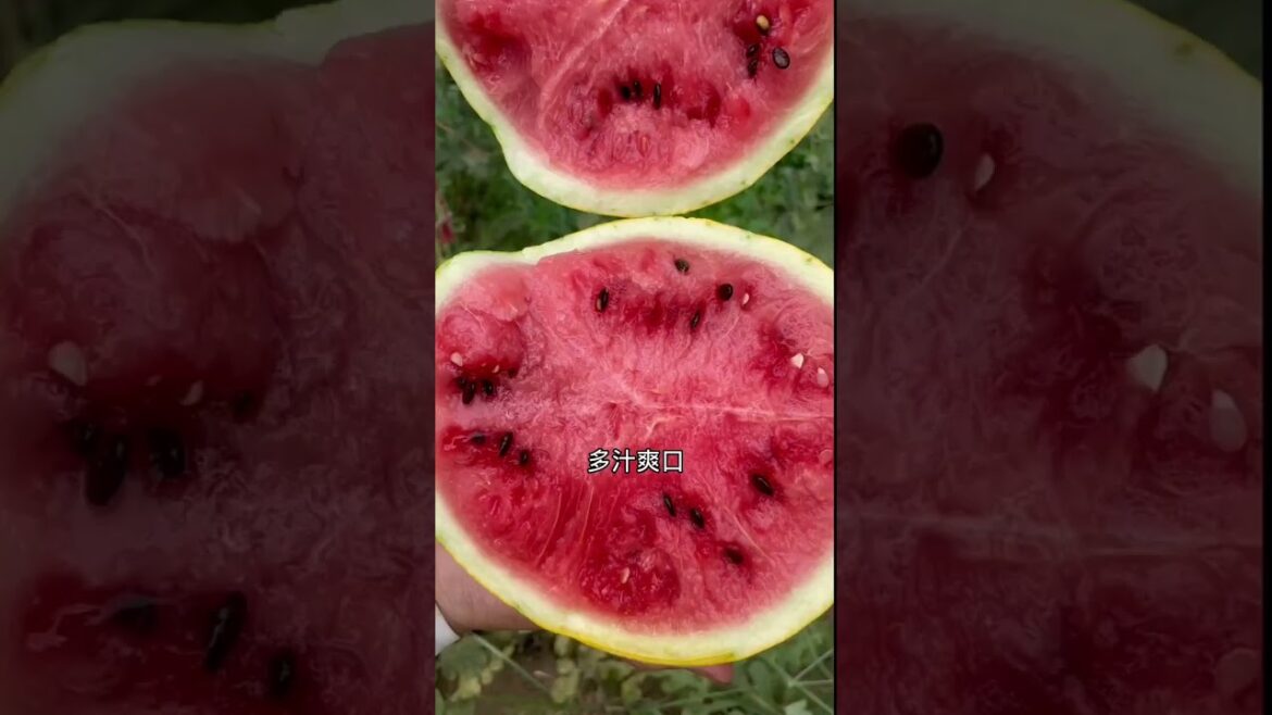 gardening ideas for home/enjoy with my garden gardening ideas for home/enjoy with my garden