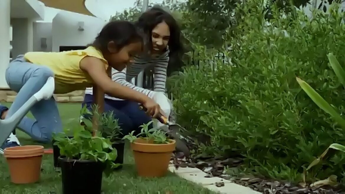 How to Start Gardening with Lowe’s
