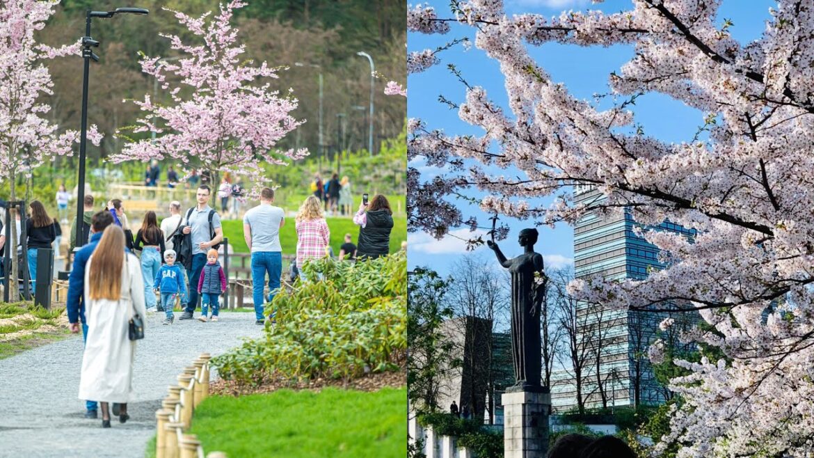 Walk in Chiune Sugihara Park and Japanese Garden-Vilniaus Japoniškas sodas in Vilnius Lithuania