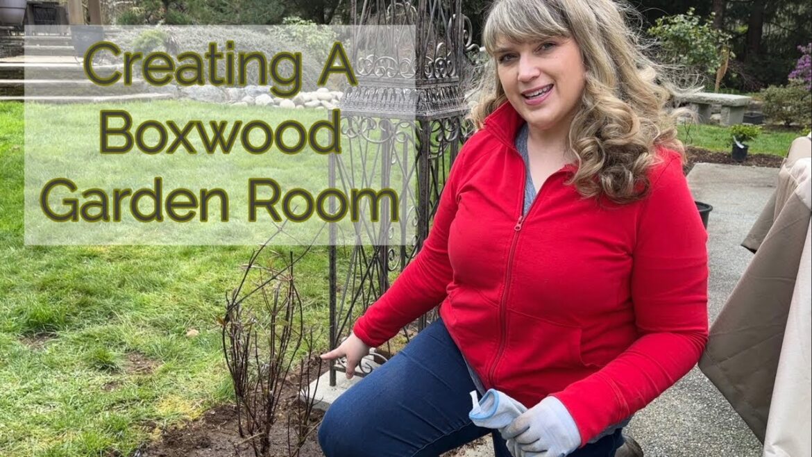 Creating a Boxwood Garden Room 🌳🌳🌳 Around Our Patio and Installing a Garden Arbor w/ Clematis 🌸