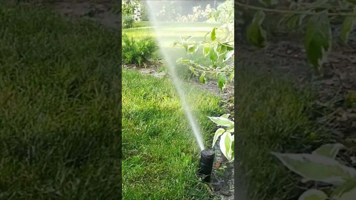 Hunter I-20 Rotor. Automatic Lawn Irrigation System