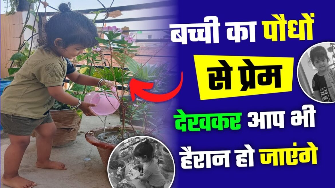 छोटी बच्ची का पौधो से इतना लगाव।Home Gardening। गर्मियों में पौधों को कैसे बचाए रखना है छोटी बच्ची का पौधो से इतना लगाव।Home Gardening। गर्मियों में पौधों को कैसे बचाए रखना है