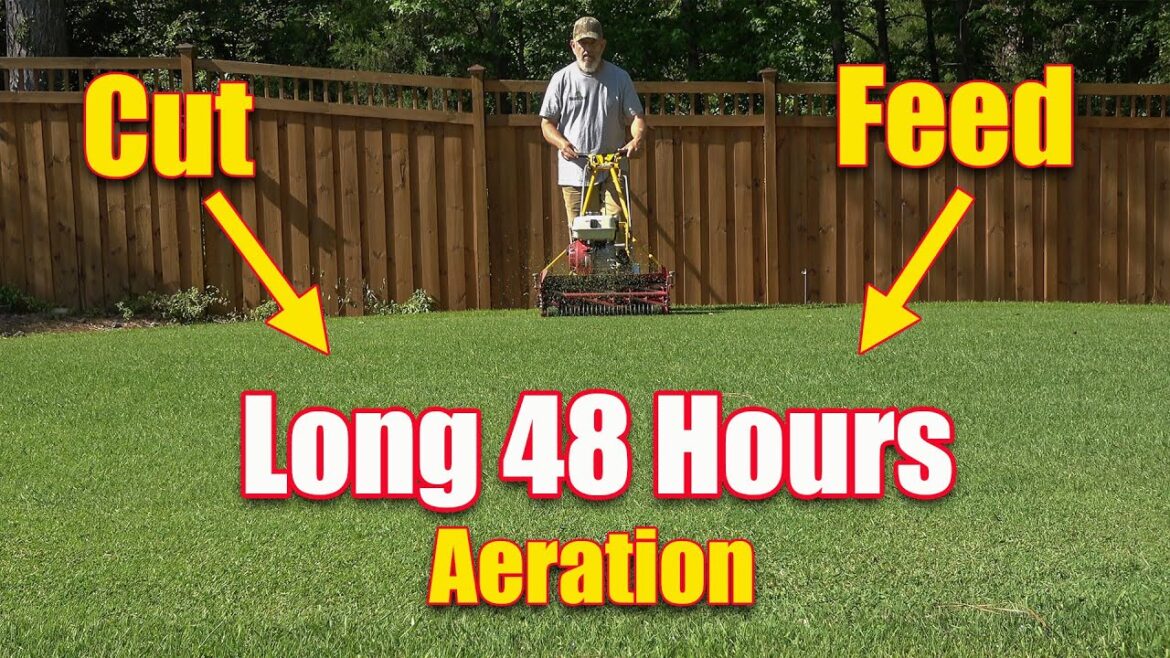 Spring Lawn Care Reel Mowing Lawns