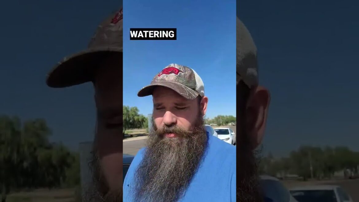 Weekend garden plans. water, shade and transplants oh my! #shorts #trending Weekend garden plans. water, shade and transplants oh my! #shorts #trending