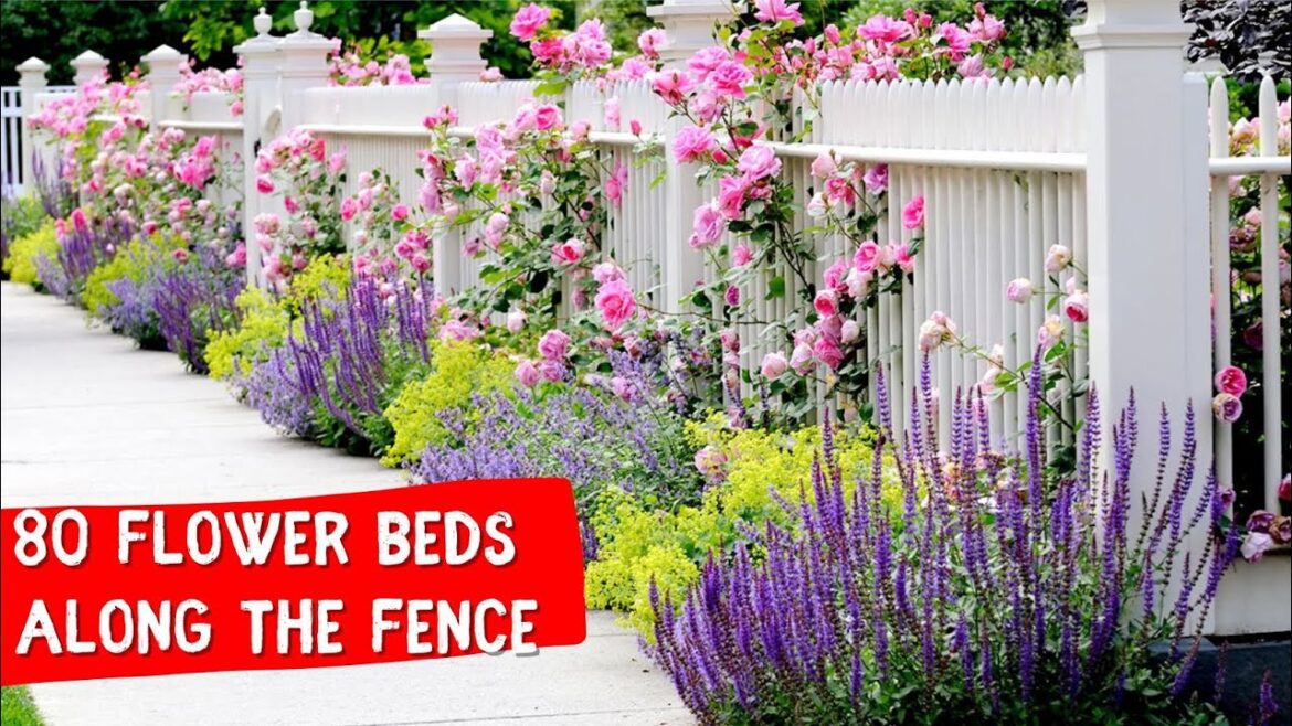 FLOWER BEDS IN NARROW AREAS, ALONG THE FENCE 🌺 80+ landscaping design ideas FLOWER BEDS IN NARROW AREAS, ALONG THE FENCE 🌺 80+ landscaping design ideas