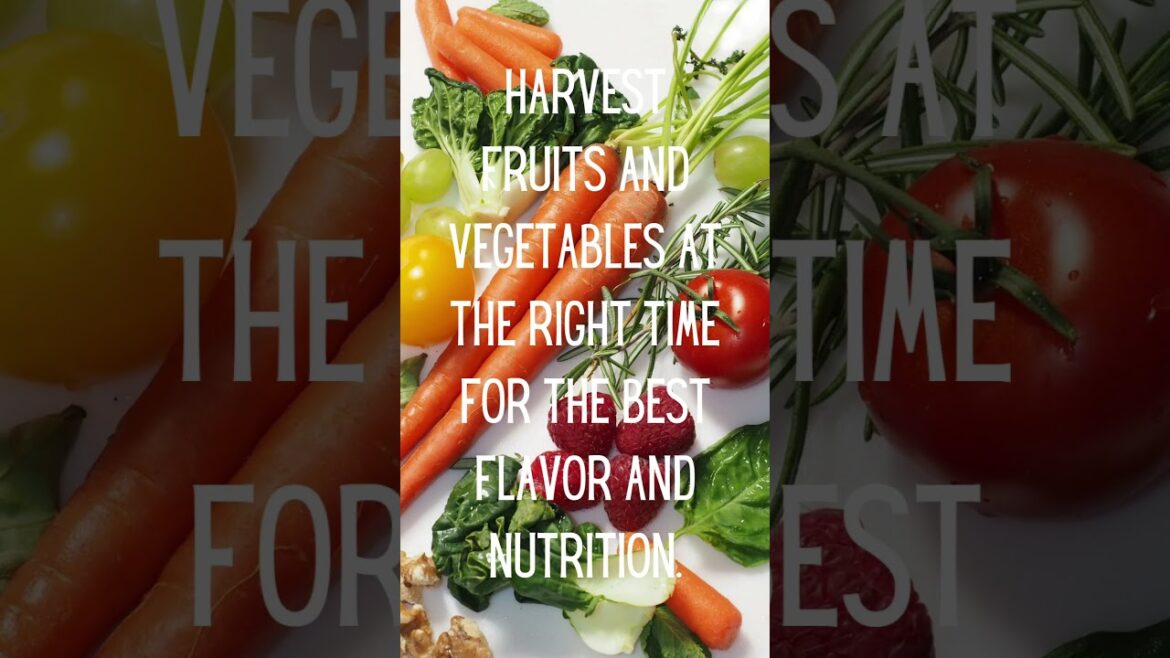 My Top 30 Gardening Tips in 30 Days  🌱 #march31challenge #garden #tips #plants