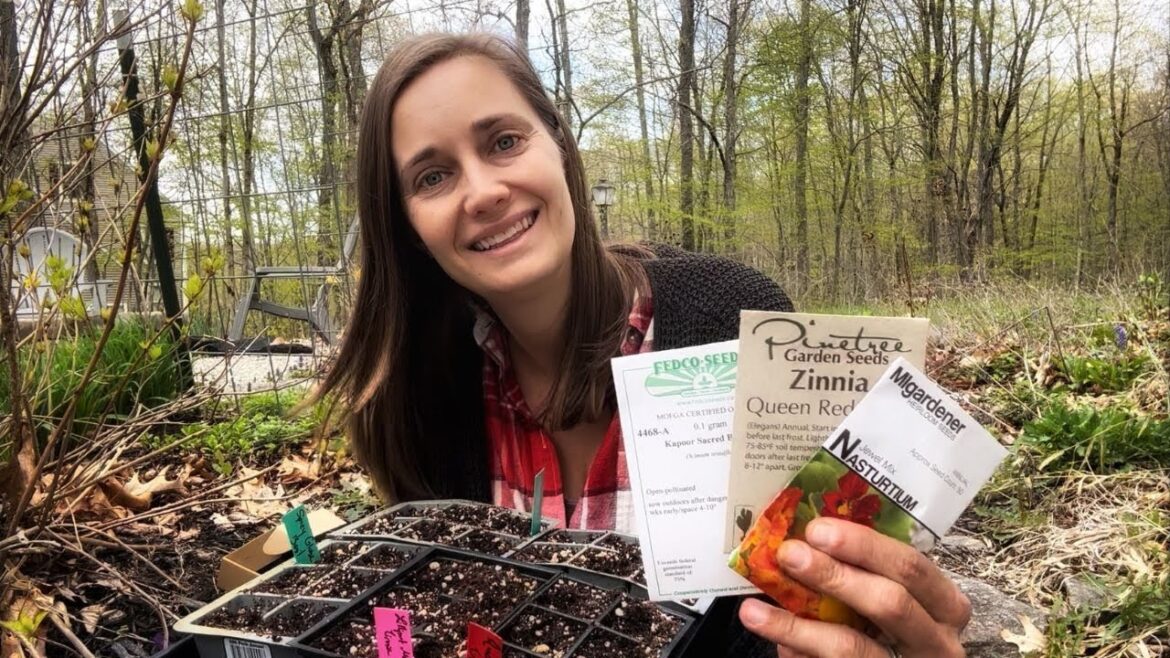 The Importance of Companion Planting | Everyone Gardens Differently The Importance of Companion Planting | Everyone Gardens Differently