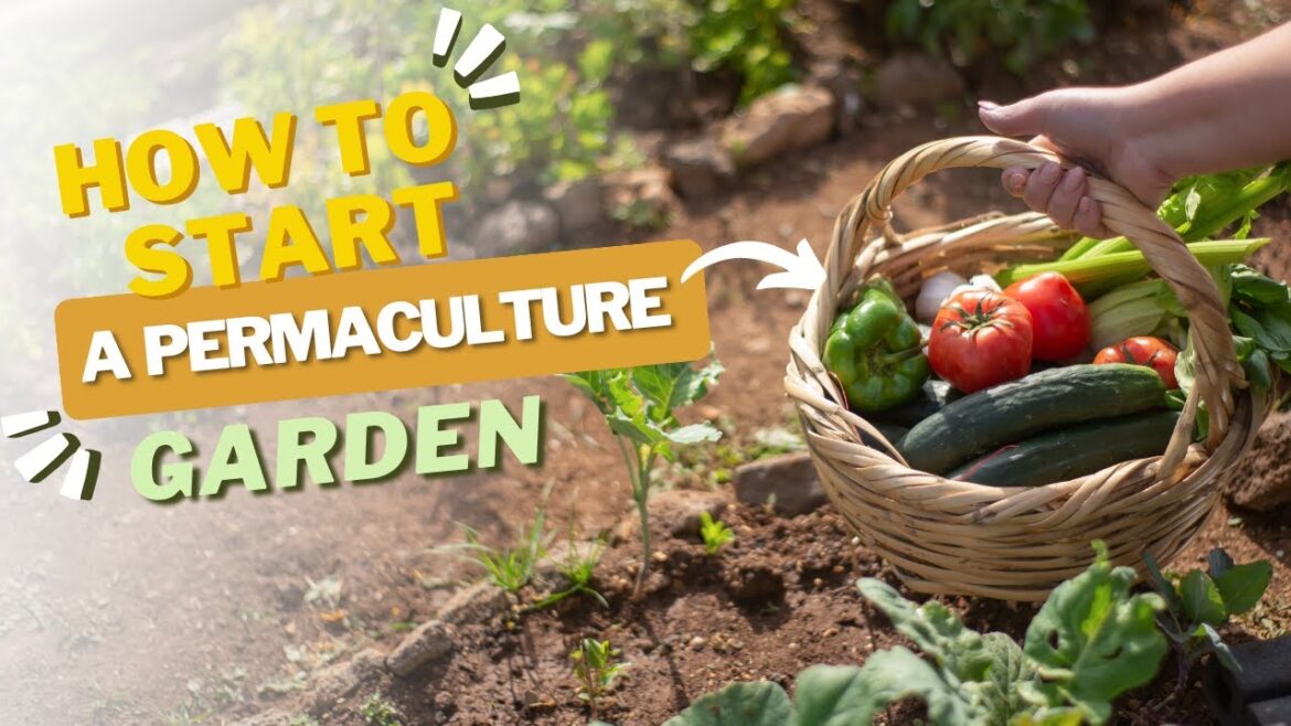 8 Steps to Start a Permaculture Garden -Garden Tips🍅🙌 #gardeningtips #garden #permaculture