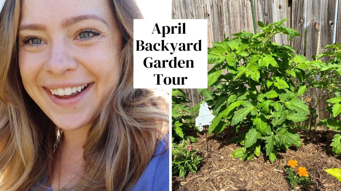 April Garden Tour | Suburban Backyard Garden Tour