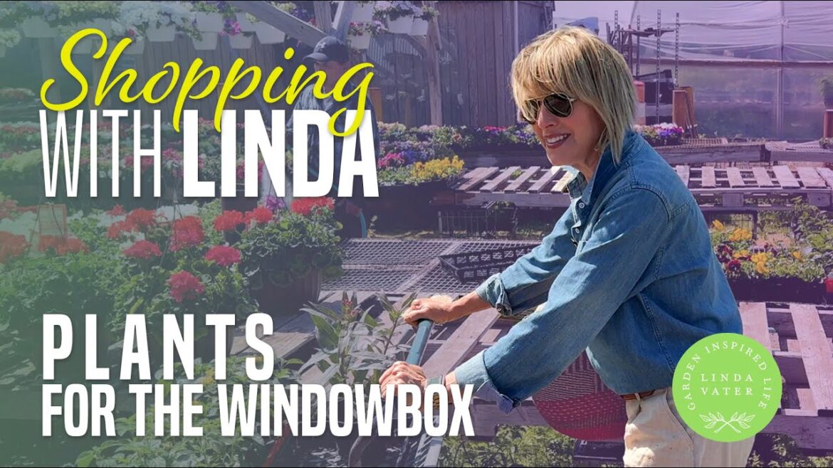 Color Packed Plant Shopping