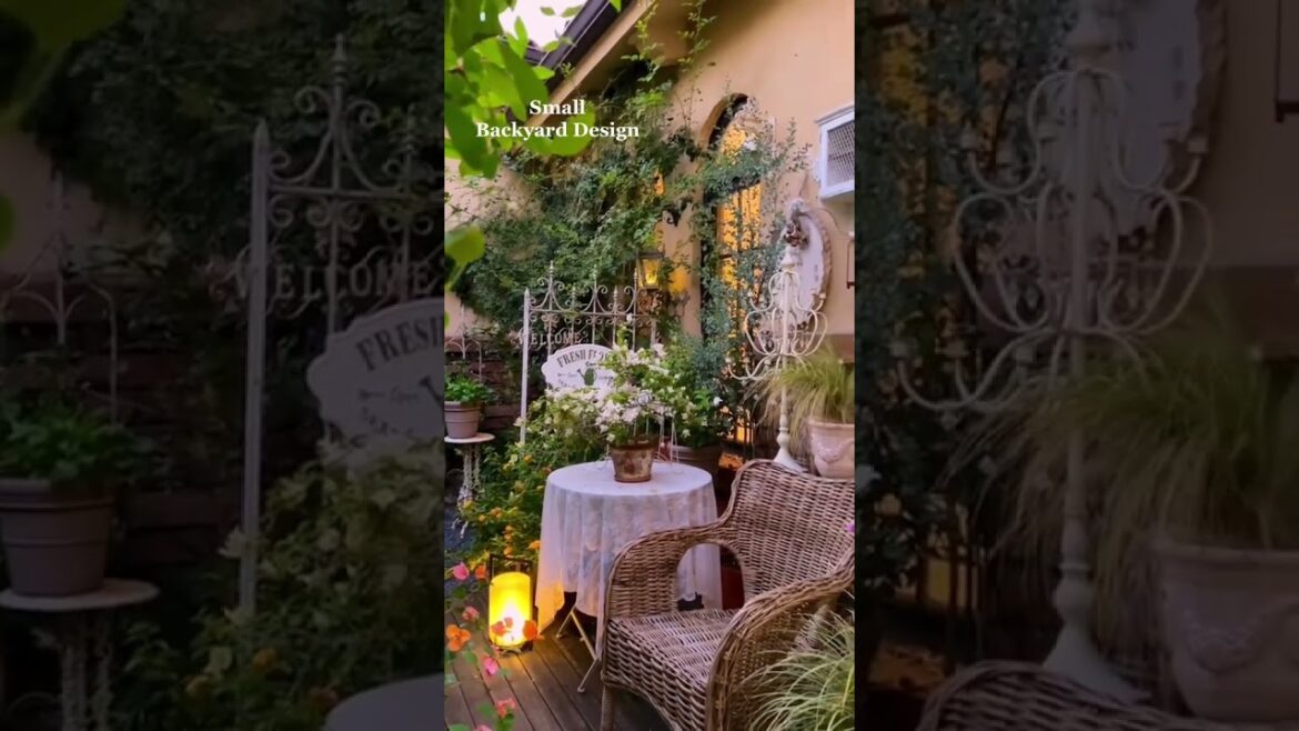 Small backyard design with full moon lamp backyardvibes backyardgarden backyardmakeover backyar
