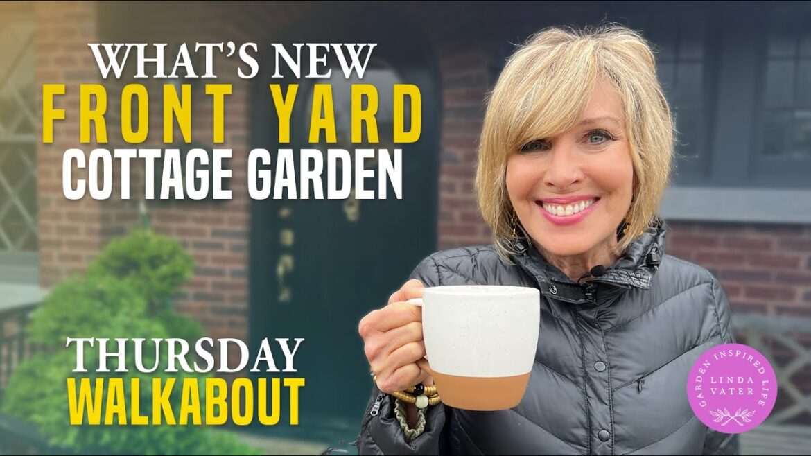 What's New Front Yard Cottage Garden