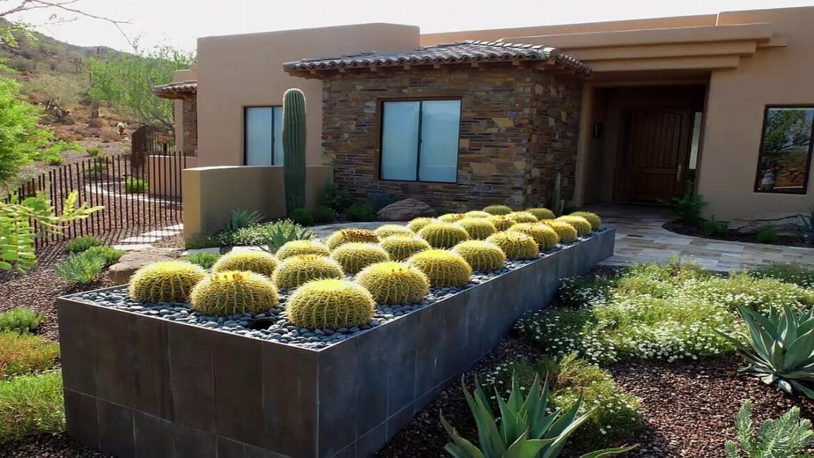 Home Cactus Garden Design Ideas - Nadin Decor