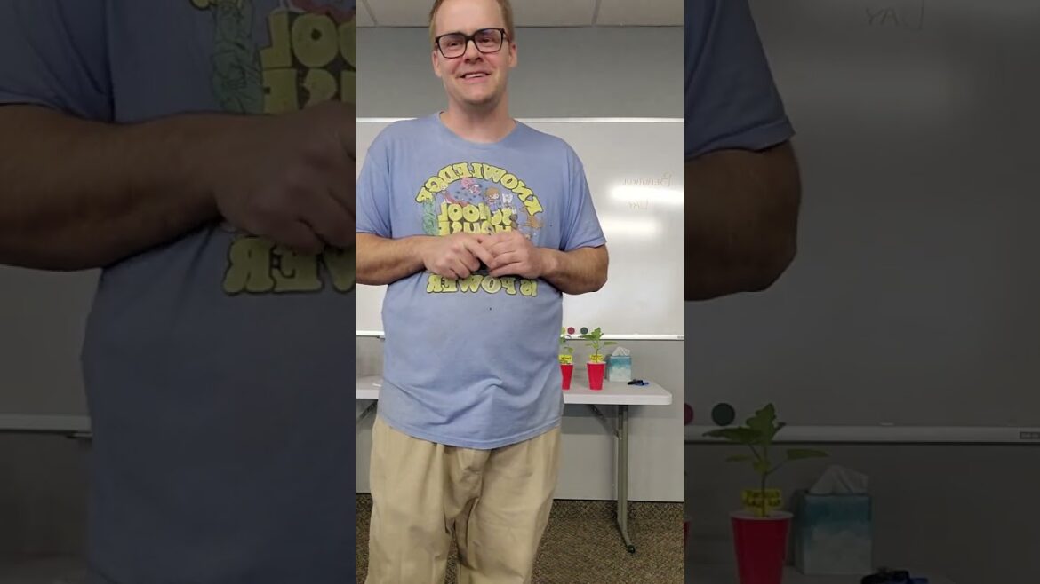 My garden plans for the year- Wisconsin