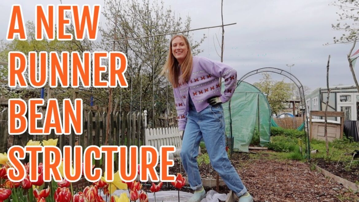 A NEW RUNNER BEAN STRUCTURE / APRIL 2023 / ALLOTMENT GARDENING A NEW RUNNER BEAN STRUCTURE / APRIL 2023 / ALLOTMENT GARDENING