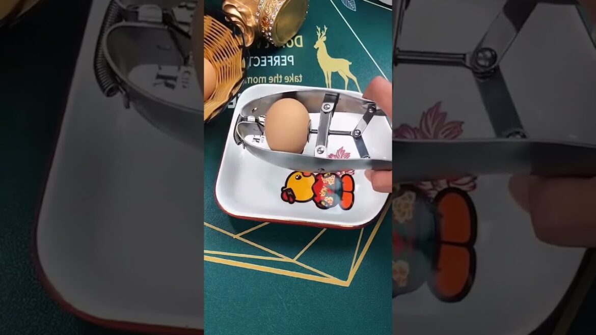 Youtube made me buy This – #shorts 22 Youtube made me buy This - #shorts 22