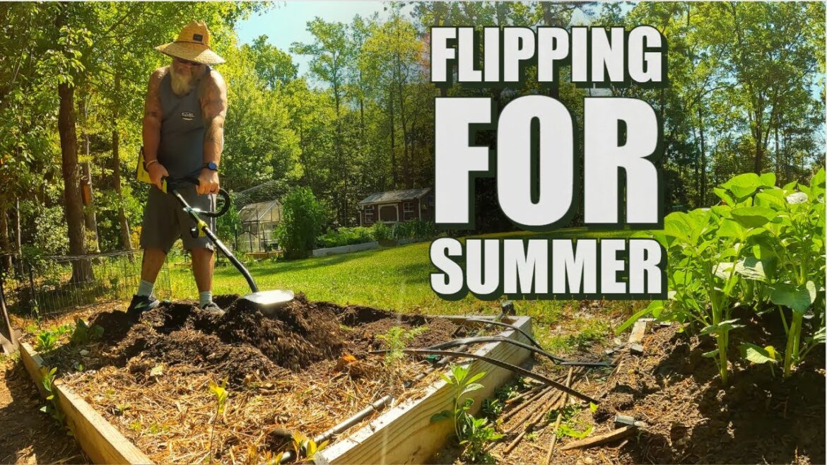Flipping a garden bed from start to finish Flipping a garden bed from start to finish
