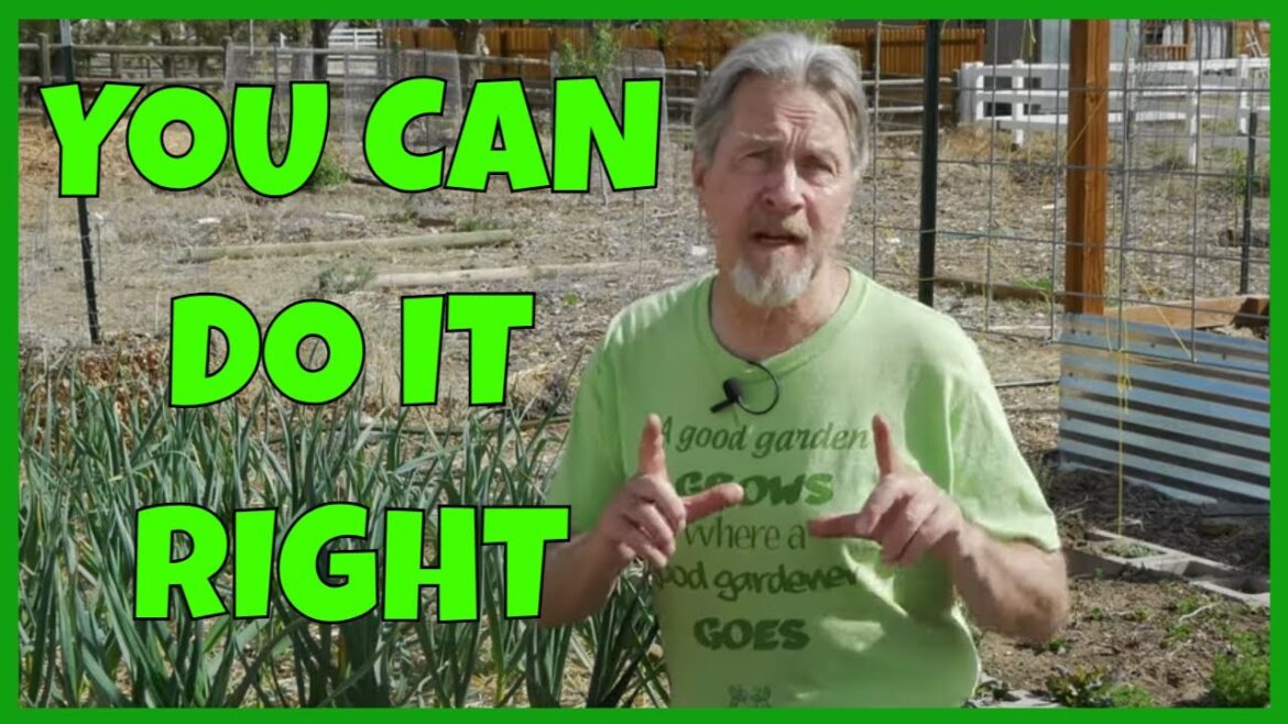 Top 12 Vegetable Garden Mistakes Top 12 Vegetable Garden Mistakes