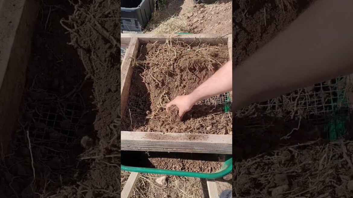 one of my favorite garden tools