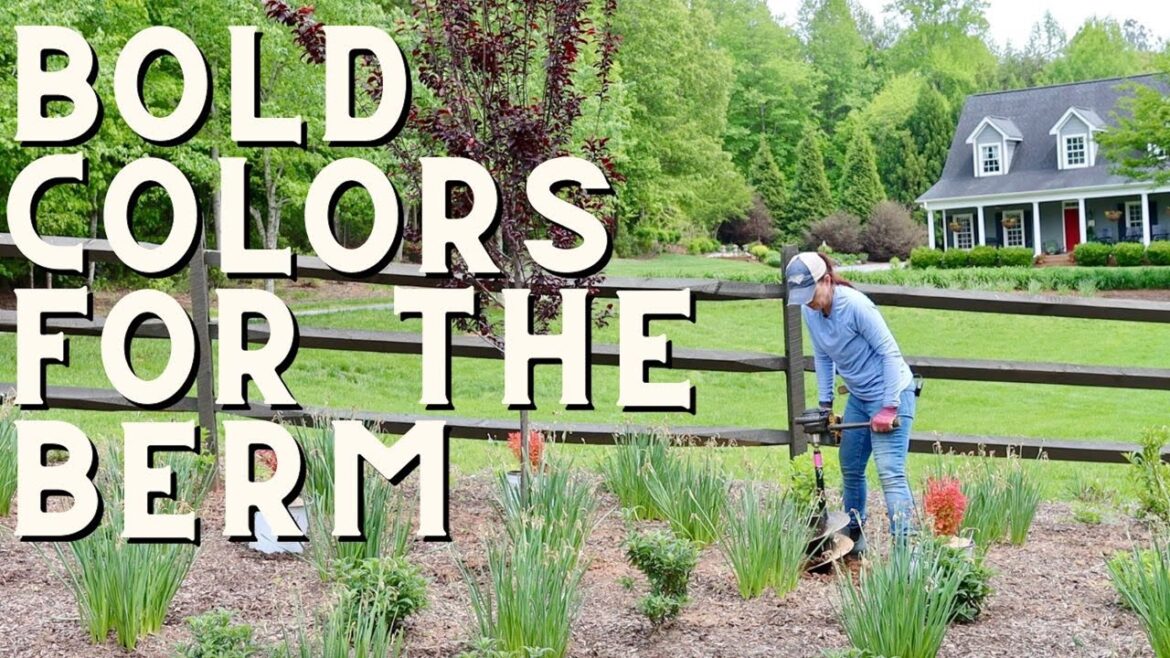 Adding Shrubs with Bold Colors to the Berm | Gardening with Creekside Adding Shrubs with Bold Colors to the Berm | Gardening with Creekside