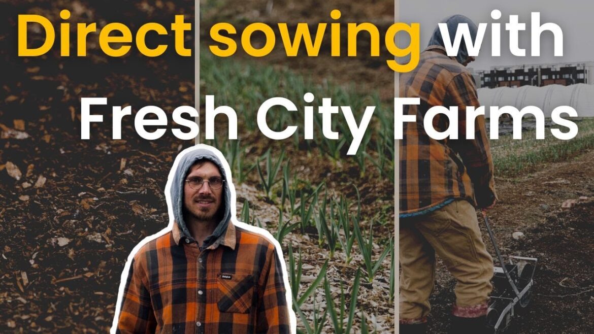 How to sow seeds directly into the garden (with @freshcityfarms3478)