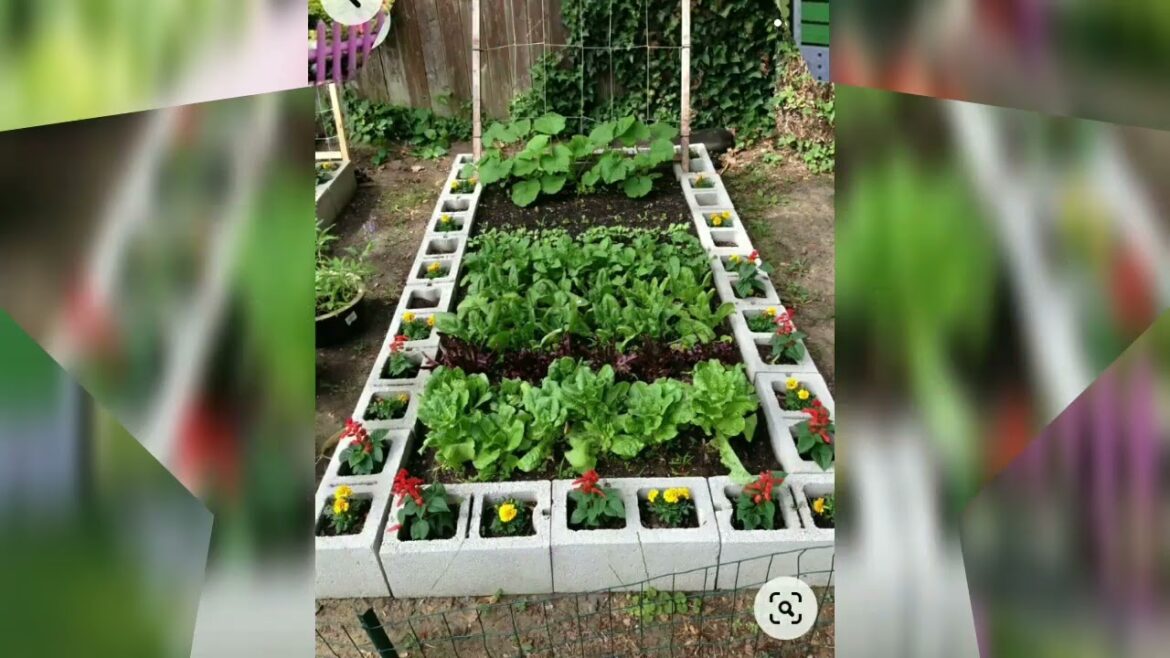 Backyard  Vegetable Garden Ideas. Small Backyard.