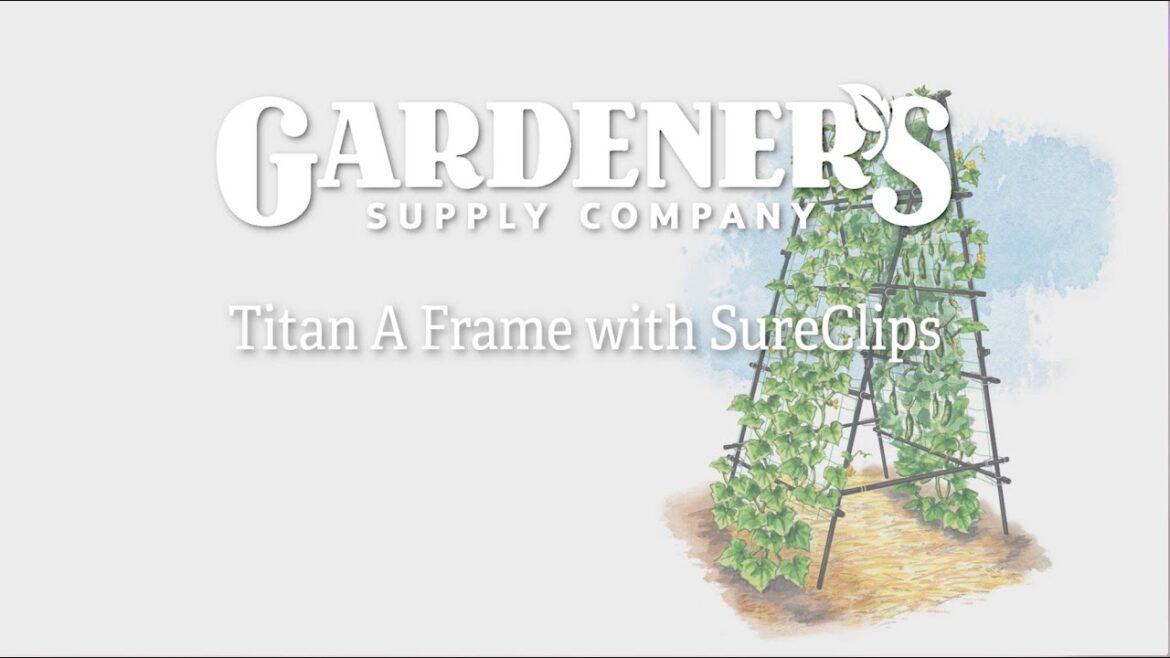 Titan A-Frame Trellis Titan A-Frame Trellis