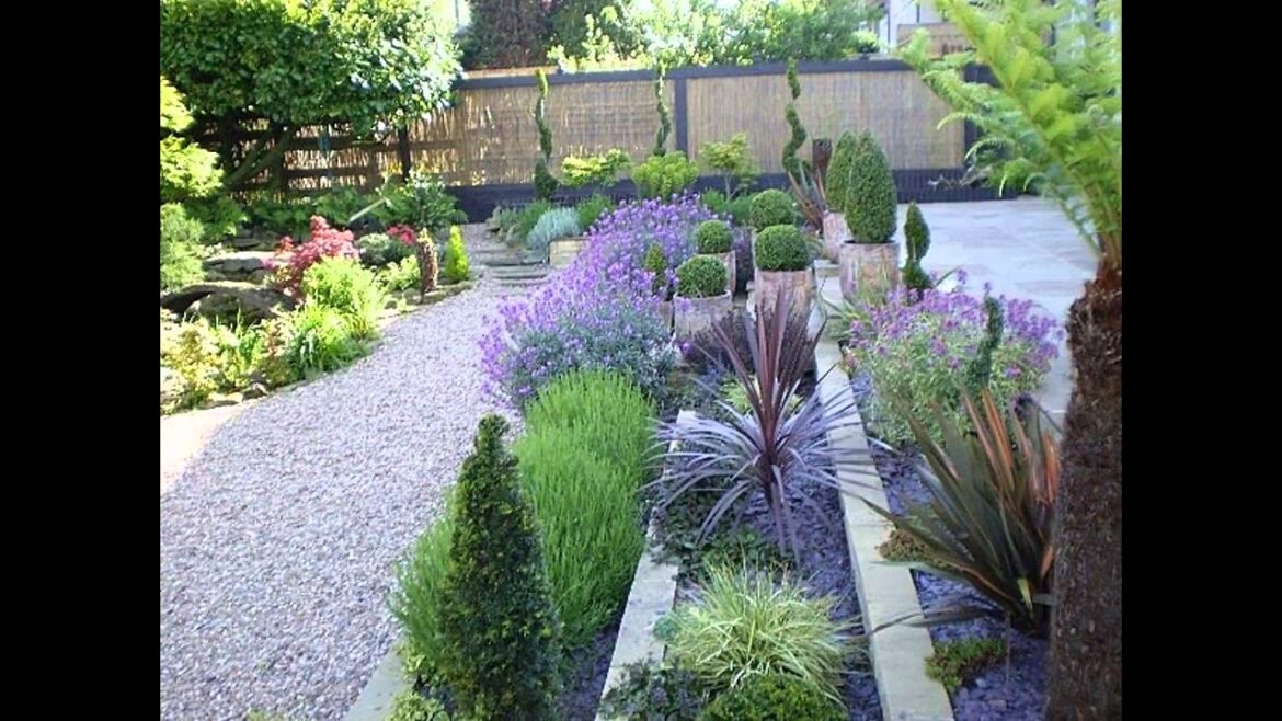 [Garden Ideas] gravel garden plants ideas