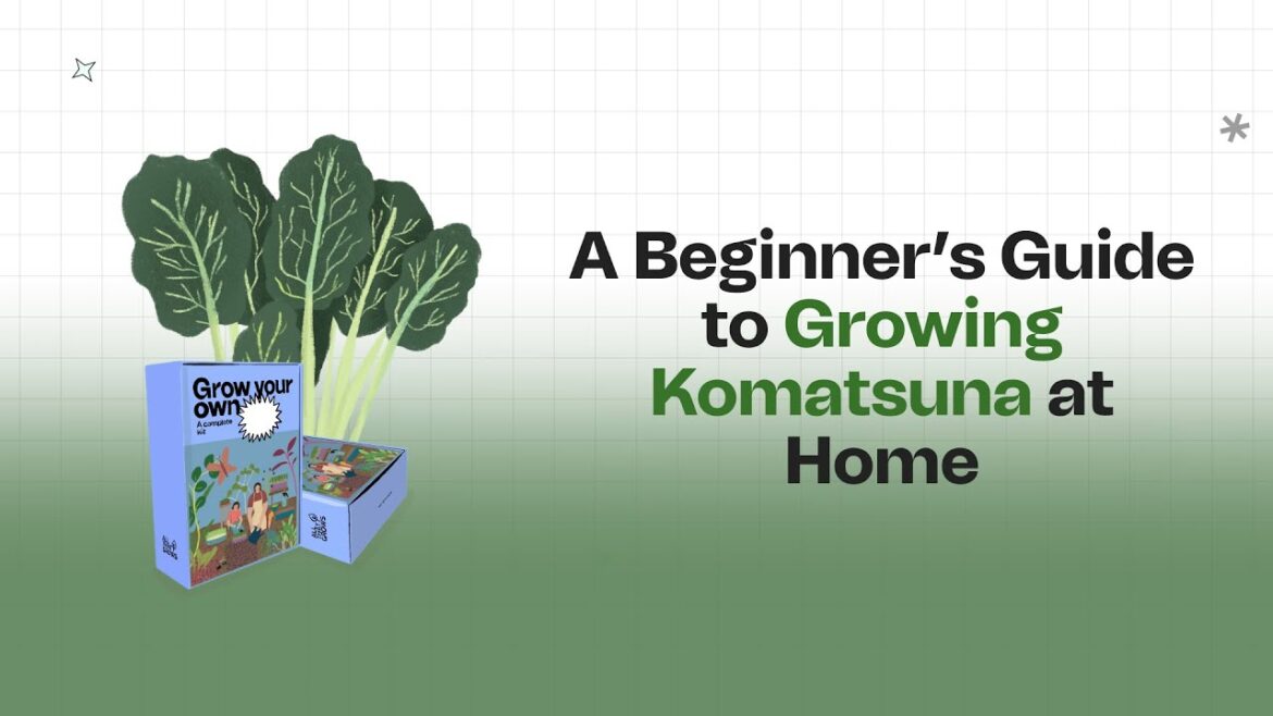 Grow Delicious Komatsuna Salad Leaves from Seeds in Containers at Home!