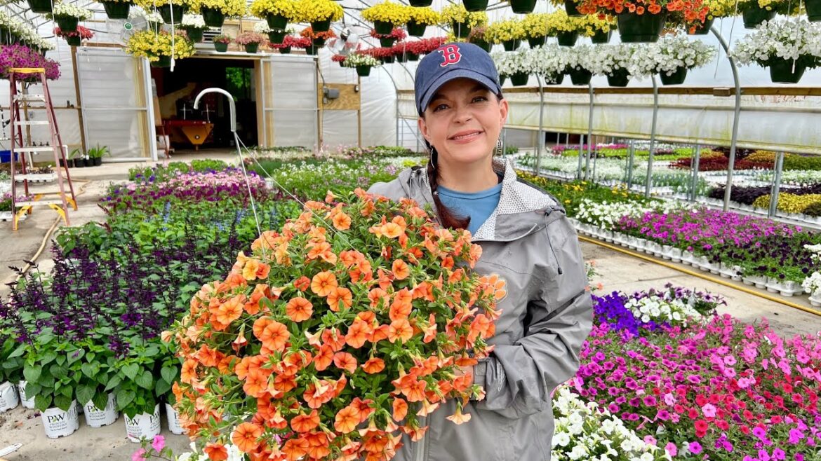 A Rainy Nursery Tour with Plants for Every Garden | Gardening with Creekside