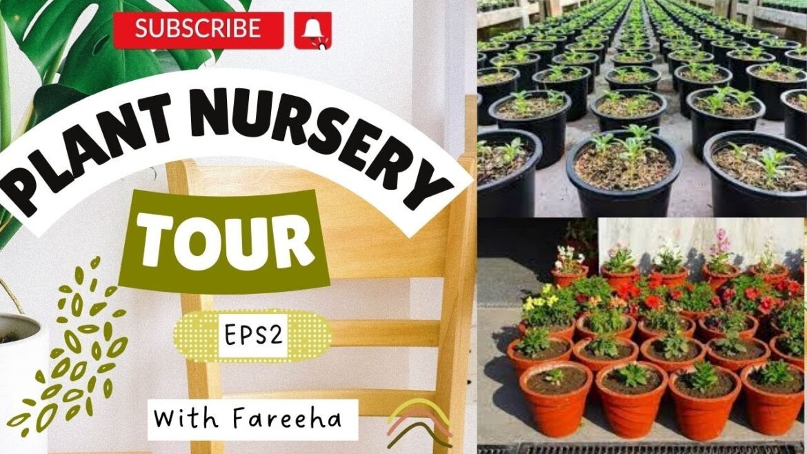 Plant Nursery Visit / Plant Nursery Tour/Plant Nursery/Gardening My Hobby /Land Of Ideas