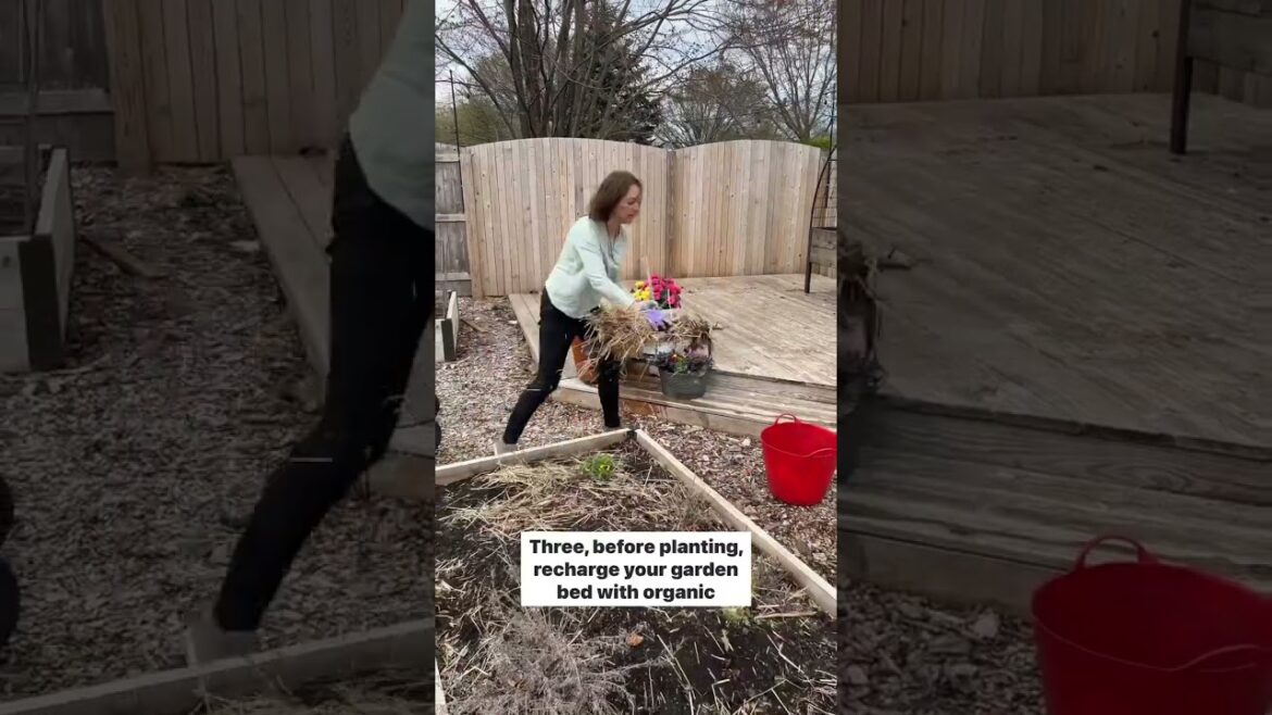 4 Tips for Spring Planting!