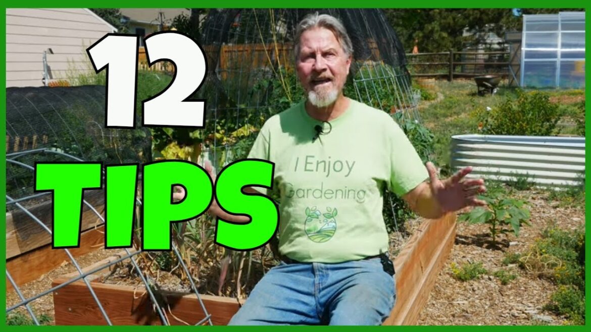 How to Be a LAZY Gardener (SUCCESSFULLY) How to Be a LAZY Gardener (SUCCESSFULLY)