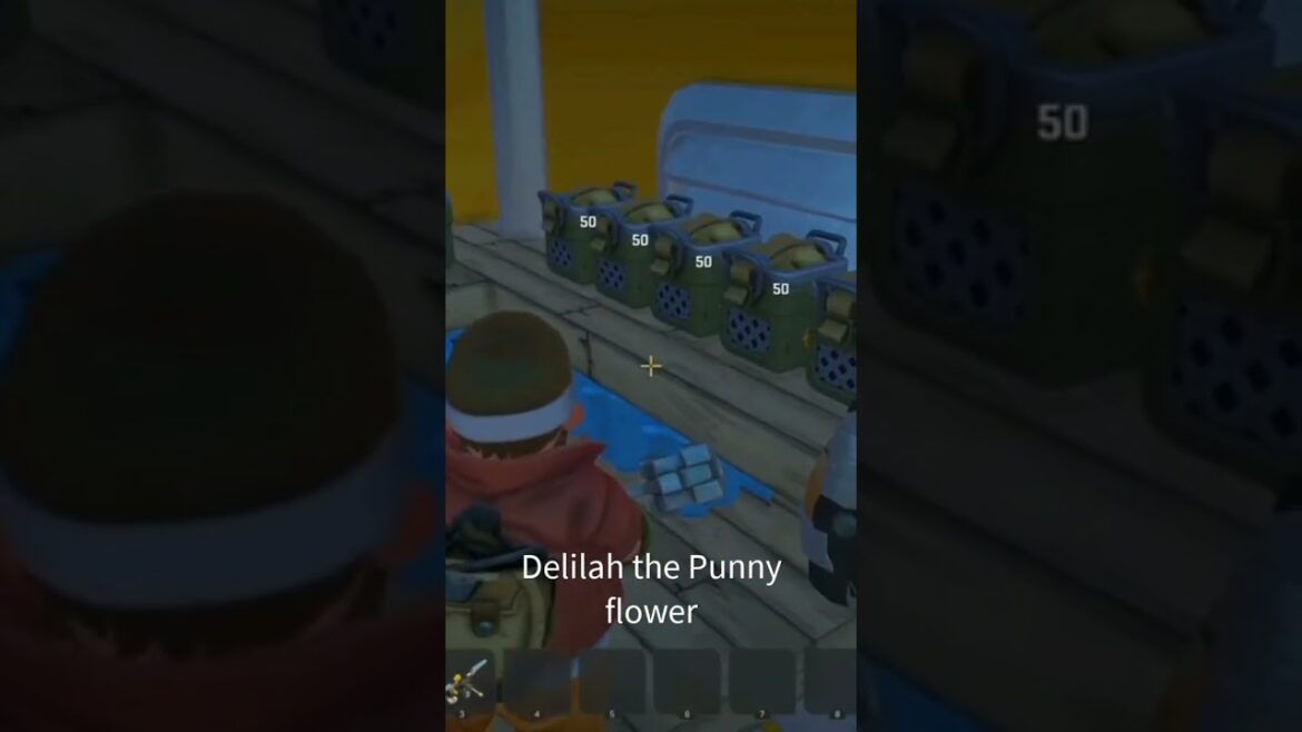 A punny day for exploring!