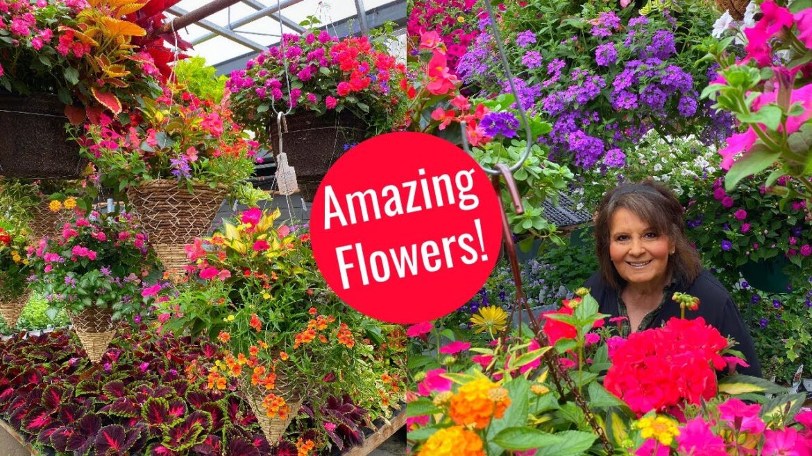 Most Beautiful Hanging Basket Designs | This is Where the Trends Start