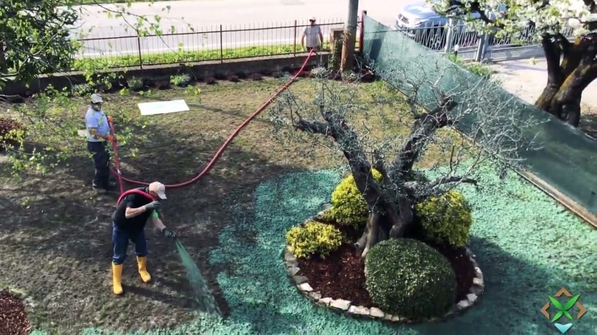 Lawn Care, Private Garden Landscape Design, Before and After Transformation, Hydroseeding