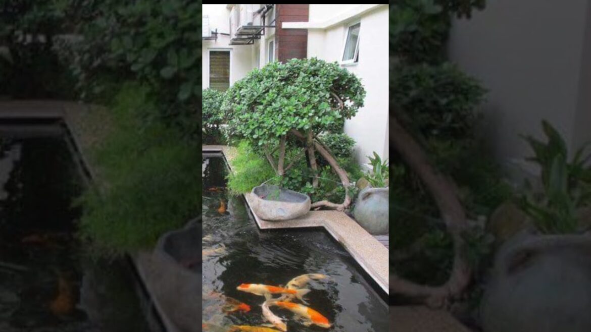 Modern Garden Designs || Garden Design Idea #shorts #viralvideo Modern Garden Designs || Garden Design Idea #shorts #viralvideo