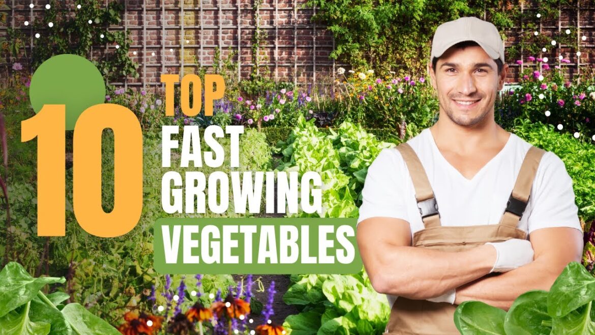 TOP 10 Fast Growing Vegetables (START NOW) -Garden Tips๐
๐#shorts #gardeningtips #garden TOP 10 Fast Growing Vegetables (START NOW) -Garden Tips๐
๐#shorts #gardeningtips #garden