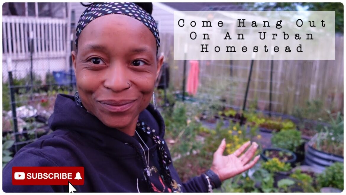 Urban Homestead Living | Simple Raw Gardening Video | Planting Out w/ My Daughter (We Beat The Rain)