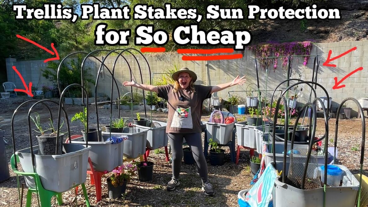 CHEAP * How to Trellis, Stake Tomato Plants, Cucumbers Peppers & Protect Garden from Hot Sun & Pest